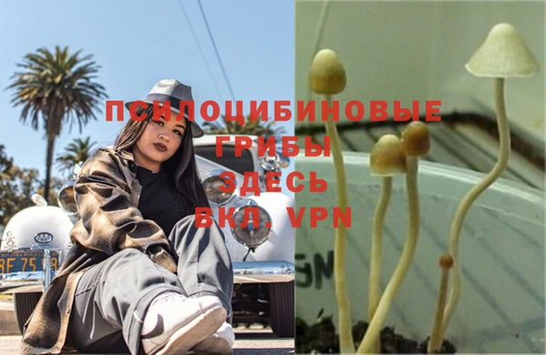 не бодяженный Баксан